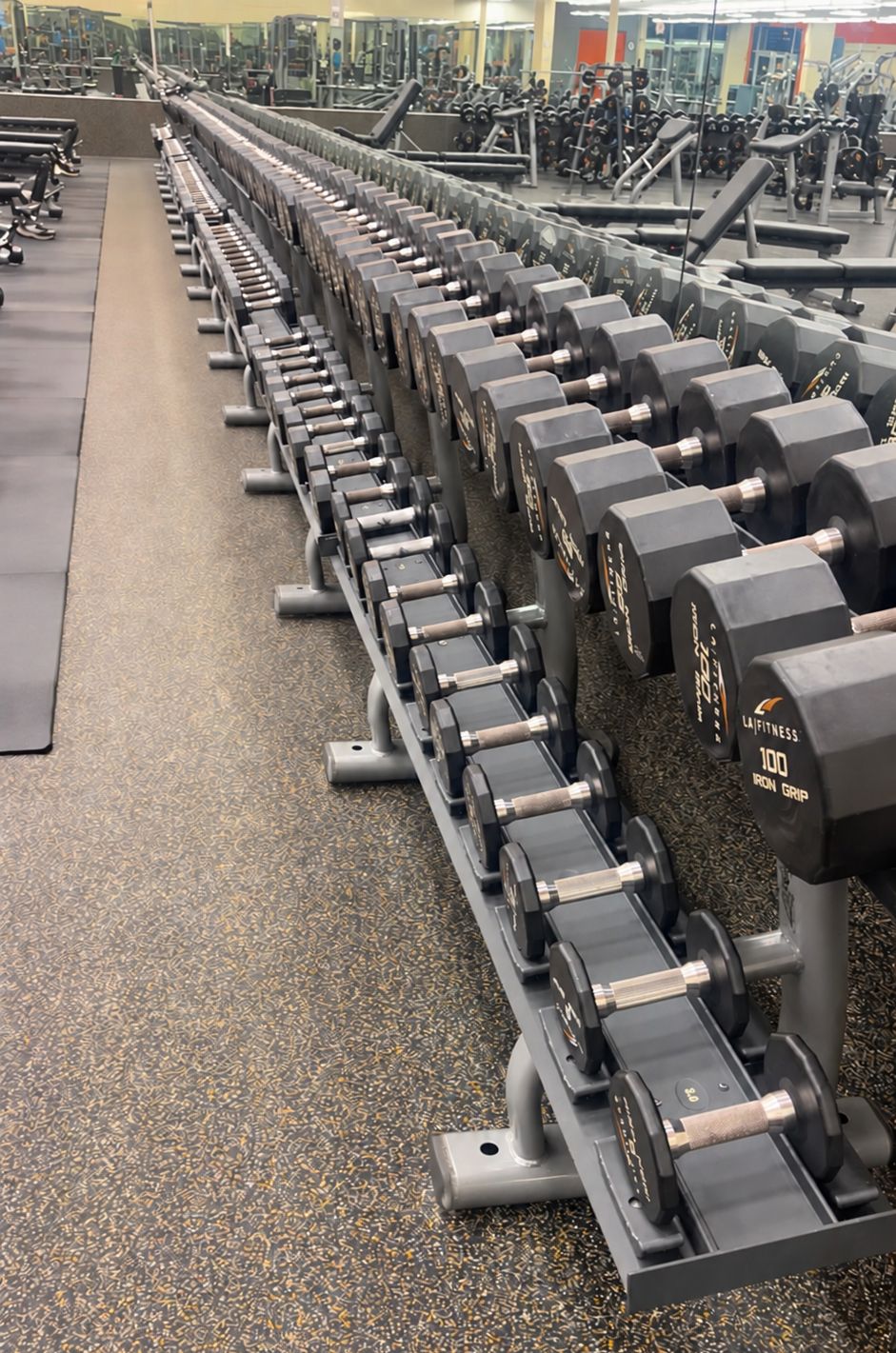 The dumbbell rack, along the free-weight wall
